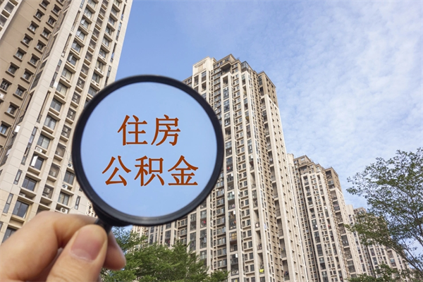 阿拉尔辞职多久公积金可以全部取出来吗（辞职之后公积金多长时间可以取）